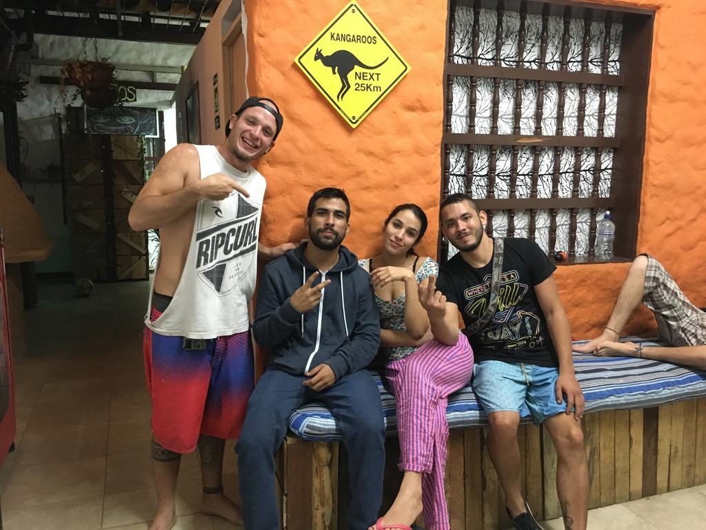 ميديلين Mila Hostel المظهر الخارجي الصورة
