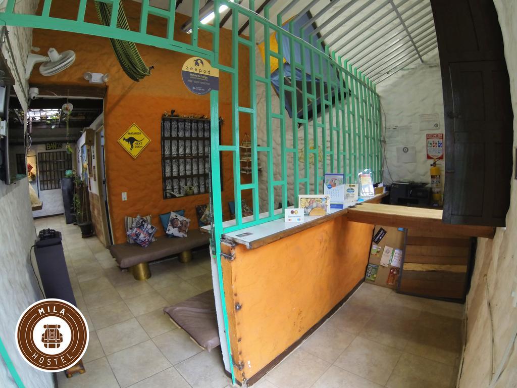 ميديلين Mila Hostel المظهر الخارجي الصورة
